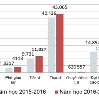 Giáo dục đại học Việt Nam và những con số 'biết nói'