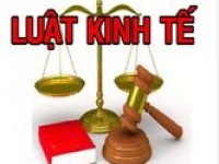 Học Ngành Luật Kinh Tế Có Khó Không?