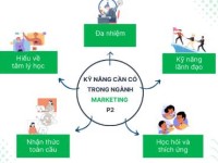 Học Ngành Marketing Cần có kỹ năng gì